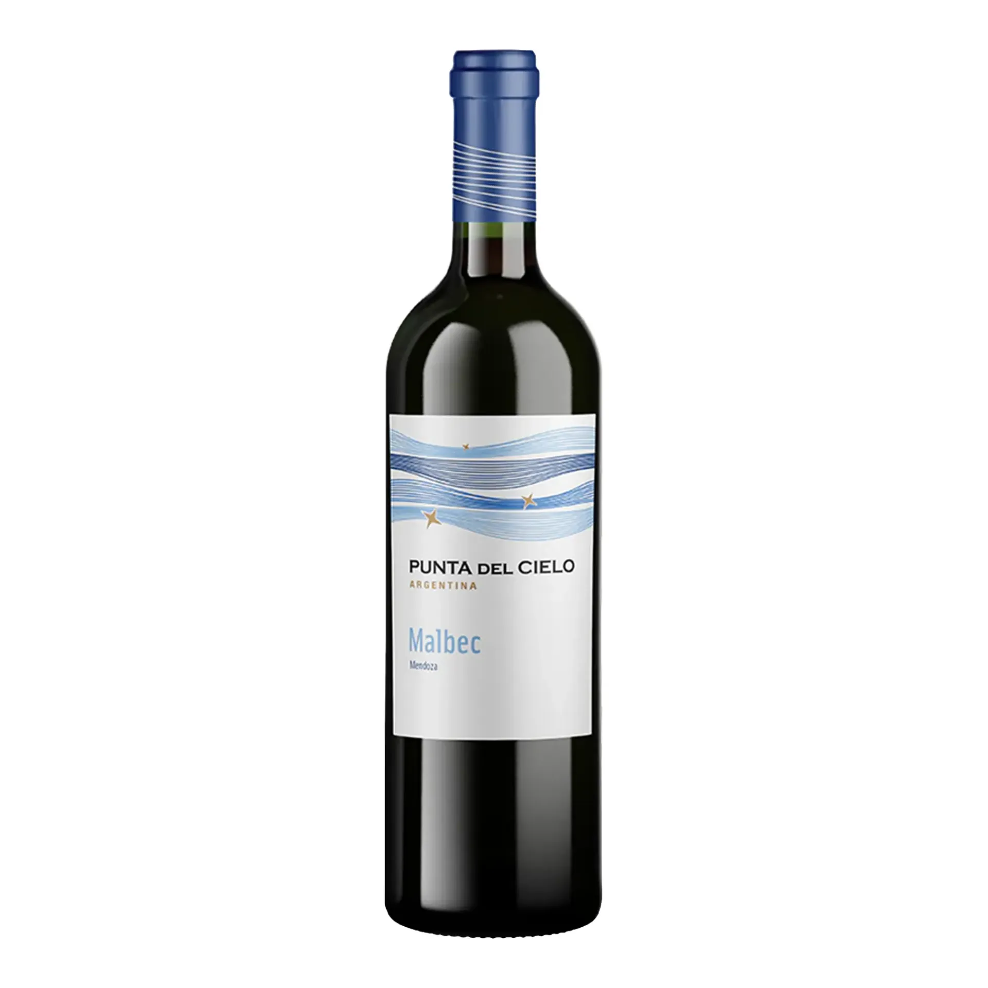 [VITRMX0006] V.R. PUNTA DEL CIELO MALBEC 12/750 ML.