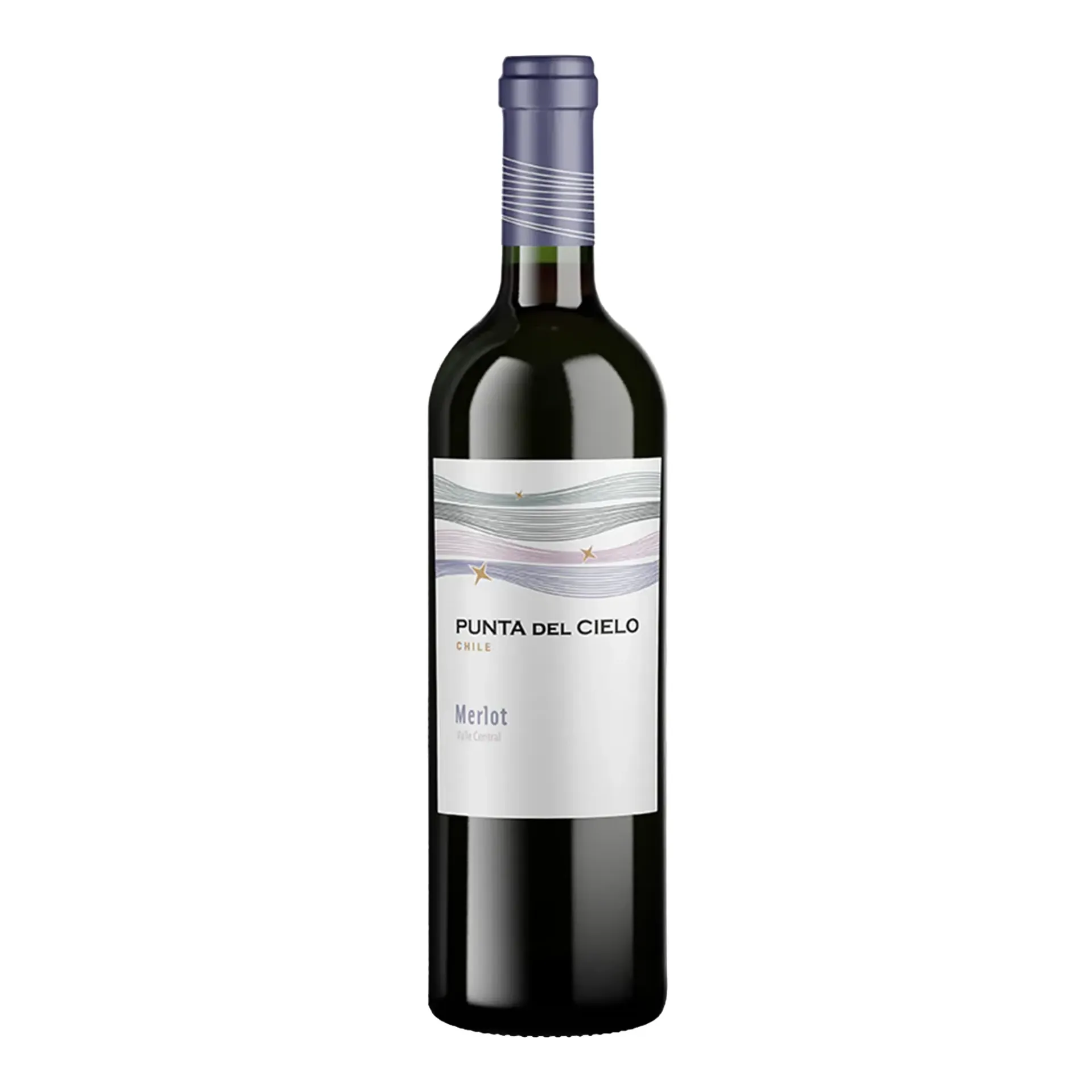 [VITRMX0002] V.T. PUNTA DEL CIELO MERLOT 12/750 ML.